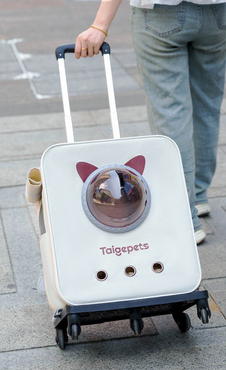 Person pulling cat bubble window carrier on four wheel trolley outdoors
