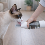 Cat drinking from a white and silver pet water fountain held by a person.