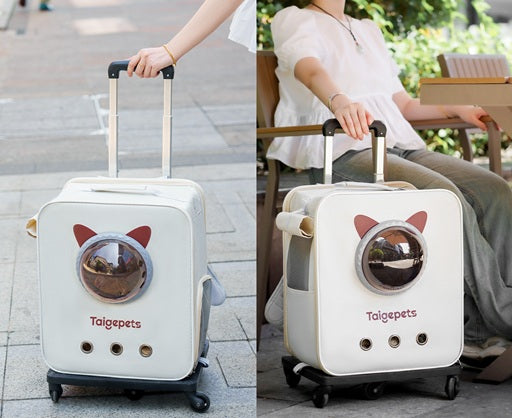 White cat backpack space capsule carrier 36x32x22cm outdoor