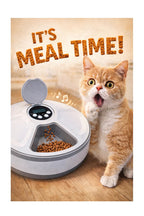 Cat next to an automatic pet feeder with 'It's Meal Time!' text above.