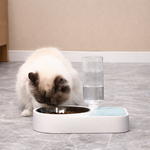 Water feeding dish - Let Kitties Stay Hydrated