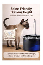 Cat standing next to a blue water fountain with text about spine-friendly drinking height.